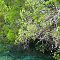 03. Aquarium naturel